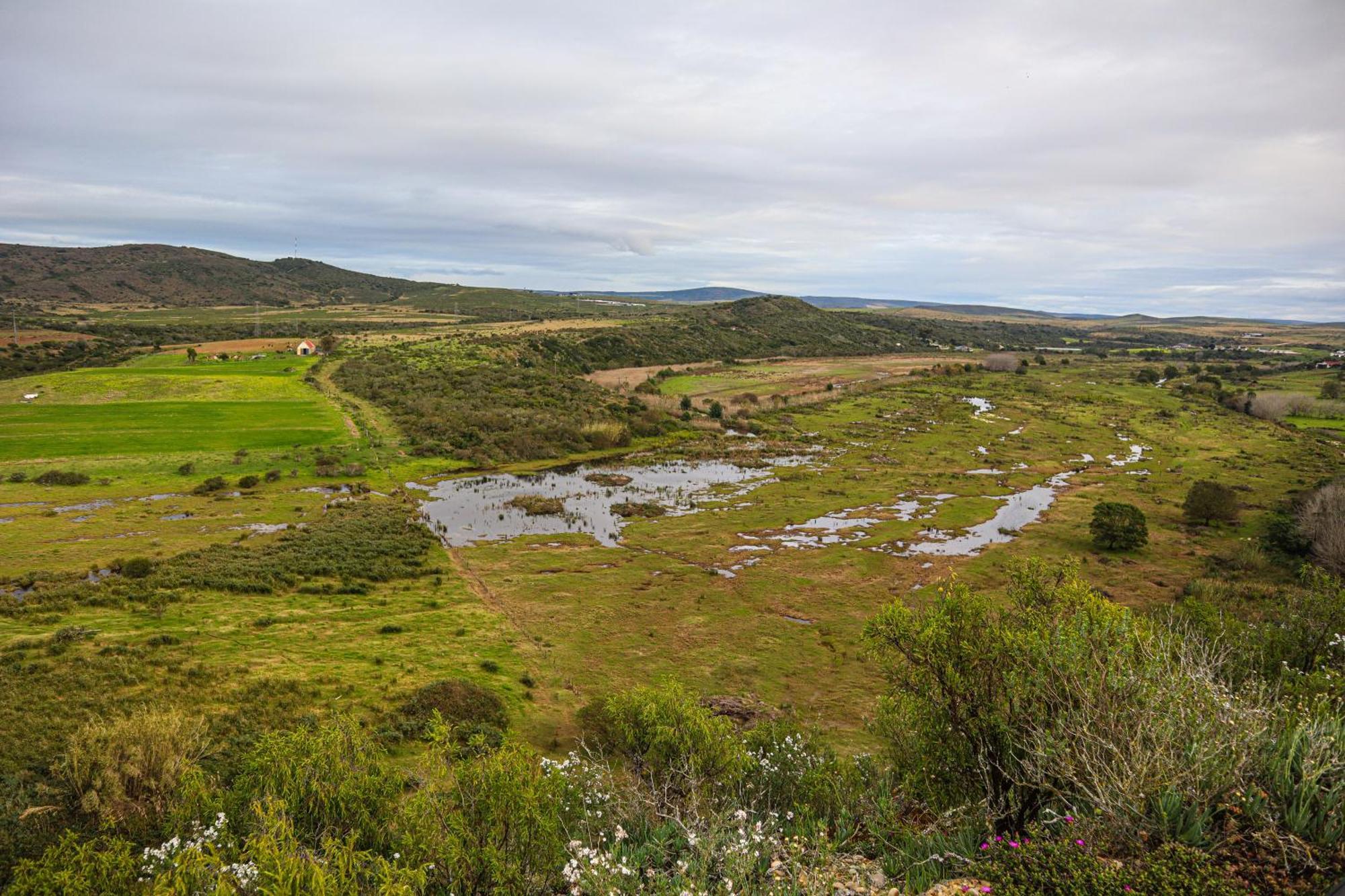 Outeniquabosch Lodge Hartenbos Kültér fotó